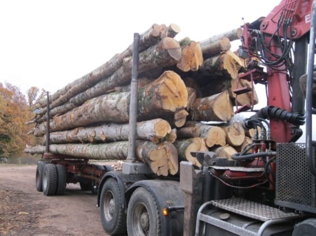 GRUME CAMION DE 50M3 EN HÊTRE – Image 3