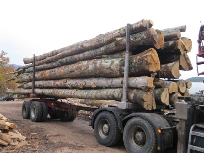 Camion de 30m3 Hêtre, Chêne,  Charme en grume