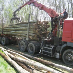 CHÂTAIGNIER EN GRUME, CAMION DE 50 STÈRES
