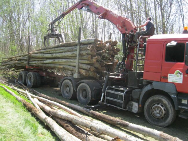 CHÂTAIGNIER EN GRUME, CAMION DE 50 STÈRES