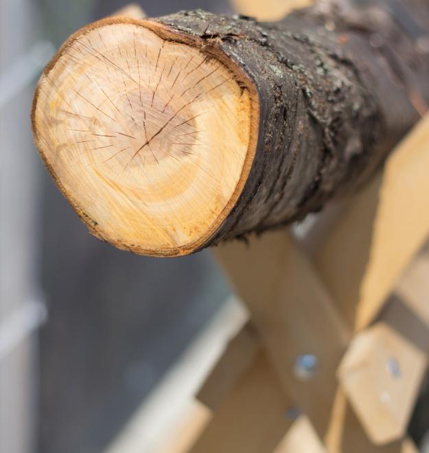 Les Grumes de Bois dans la Construction : Un Matériau Solide et Durable