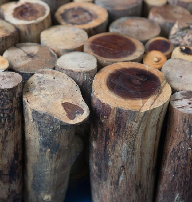 L’Art de la Transformation des Grumes de Bois en Produits Fini