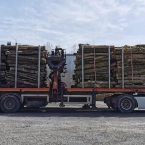 Camion de 50m3 Hêtre en grume