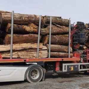 CHÂTAIGNIER EN GRUME, CAMION DE 50M3